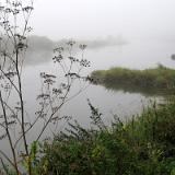 0510G 04 Weser im Nebe